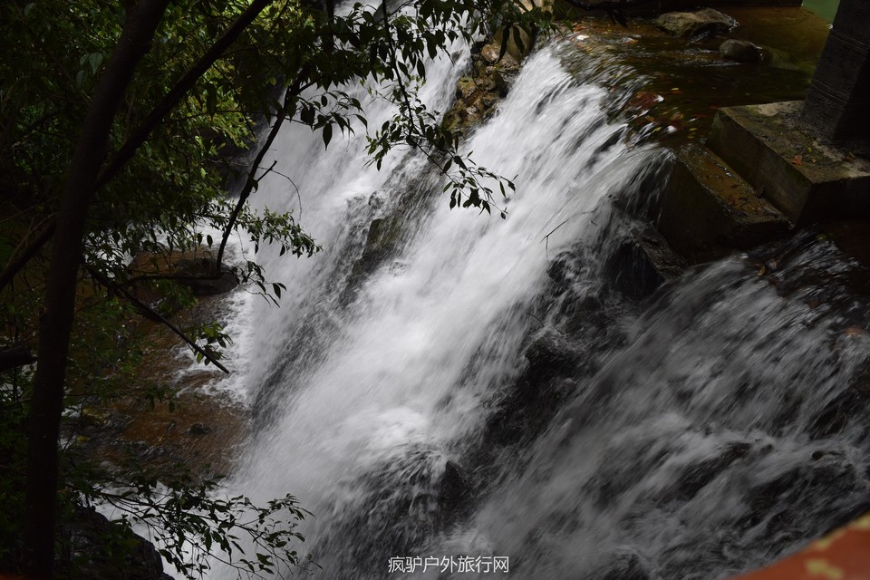 DSC_8375