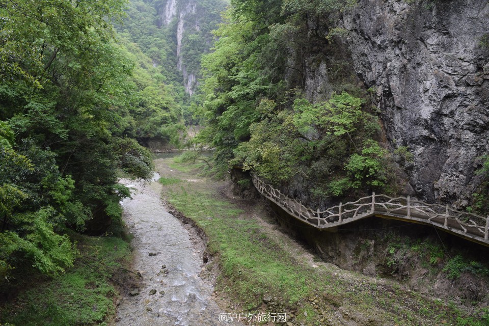 DSC_8430