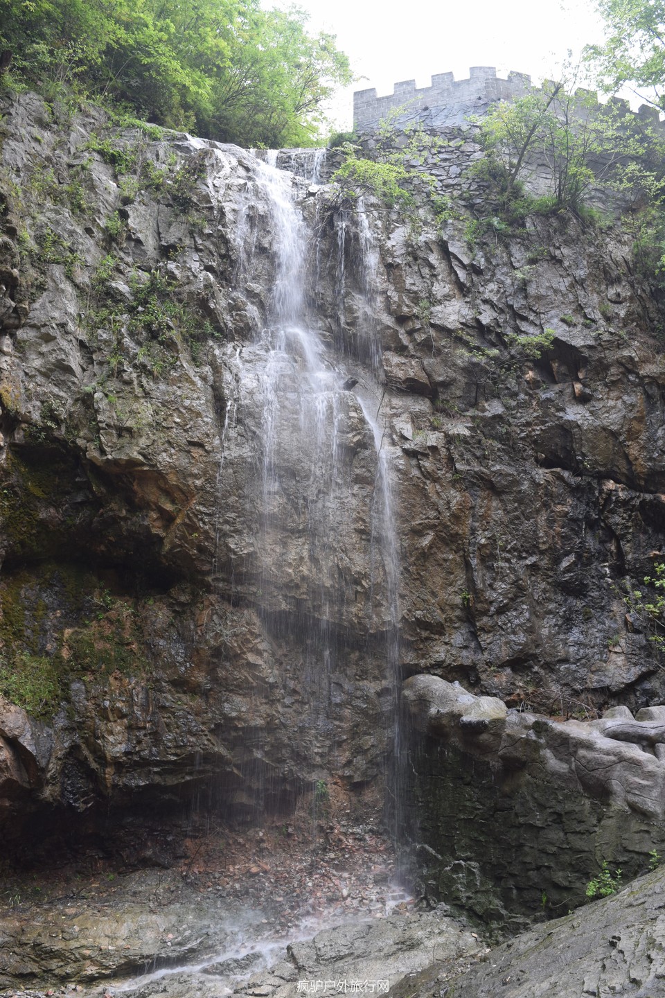 DSC_8478