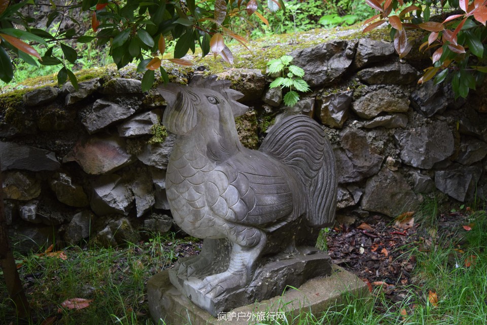 DSC_8628