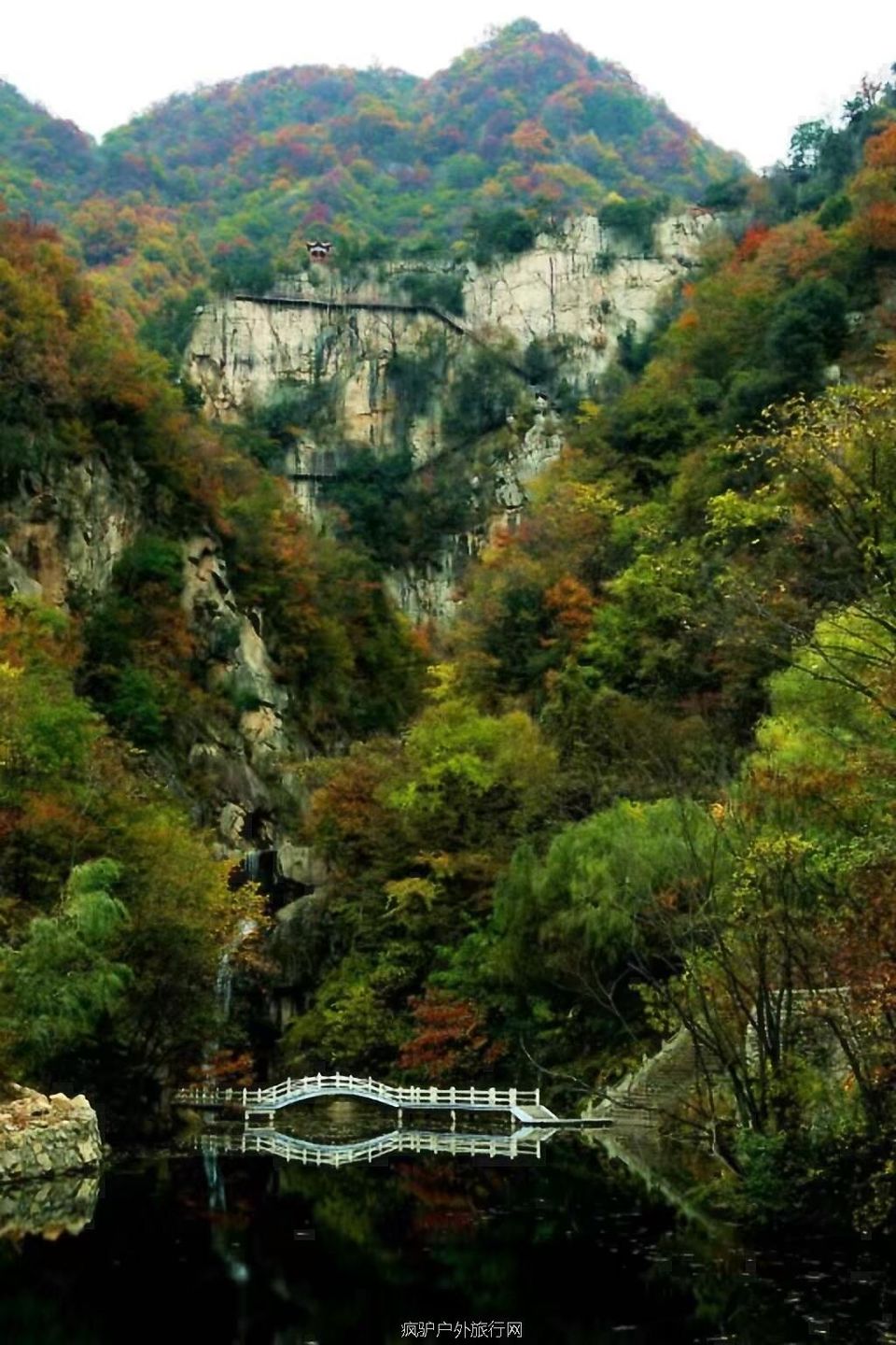 微信图片_20171102194519