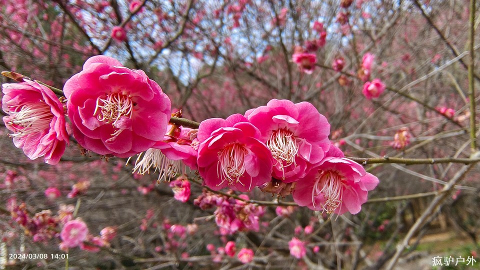 微信图片_20240314115013