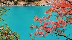 万山遍染秋色浓｜川西雪山彩林10.17号：揽胜理小路，毕棚沟玛嘉沟奶子沟深度漫游，邂逅金牛古蜀道昭化古城8日汽车团