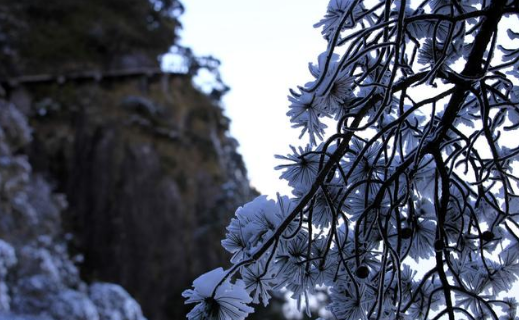 不用再去东北看雾凇，三清山的雪景美哭了，仿若人间仙境