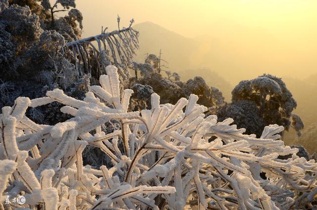 不用再去东北看雾凇，三清山的雪景美哭了，仿若人间仙境