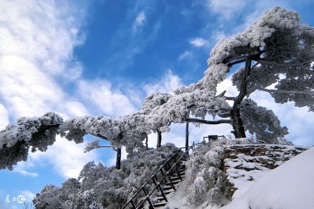 不用再去东北看雾凇，三清山的雪景美哭了，仿若人间仙境