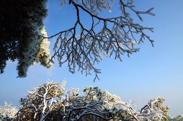 不用再去东北看雾凇，三清山的雪景美哭了，仿若人间仙境