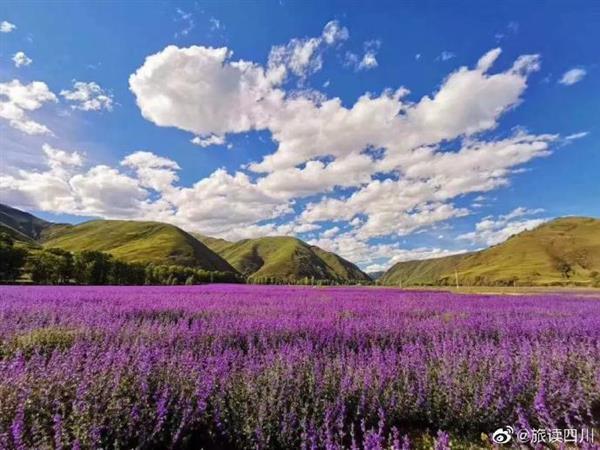 甘孜州这个新晋“网红”地方，你确定不来打卡？