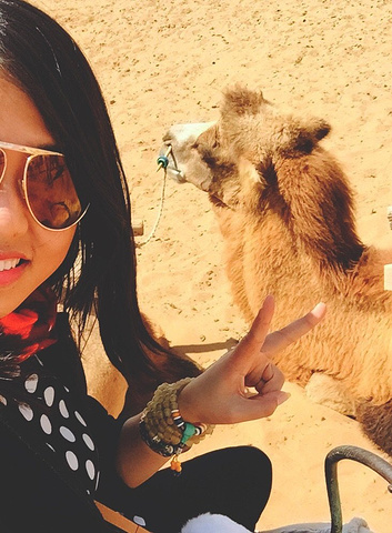 '超级帅的车车。去腾格里沙漠一定要坐这种越野车穿越沙漠边缘。有点风，沙子很烫。开始自拍模式_腾格里沙漠'的评论图片