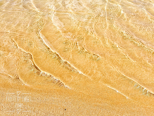 '超级帅的车车。去腾格里沙漠一定要坐这种越野车穿越沙漠边缘。有点风，沙子很烫。开始自拍模式_腾格里沙漠'的评论图片