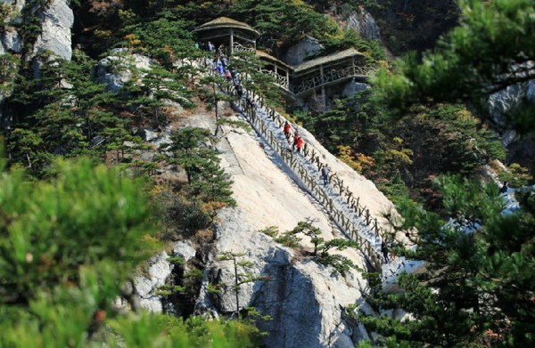 1535889904_165766.jpg 22.jpg