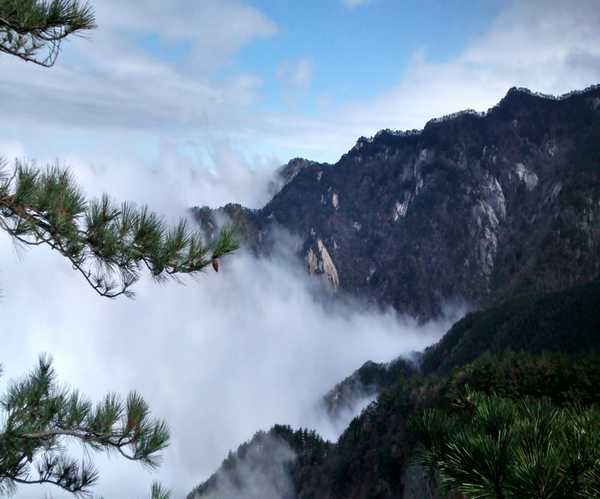 1535889409_965437.jpeg 1535889409_965437.jpeg