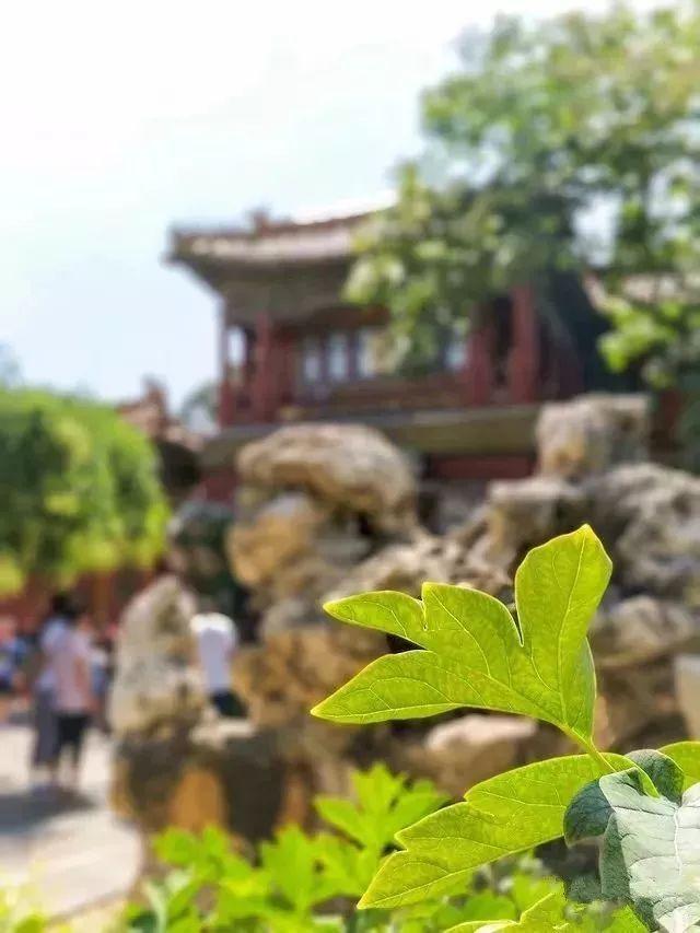 7种手机摄影构图技巧，让你成为手机摄影达人