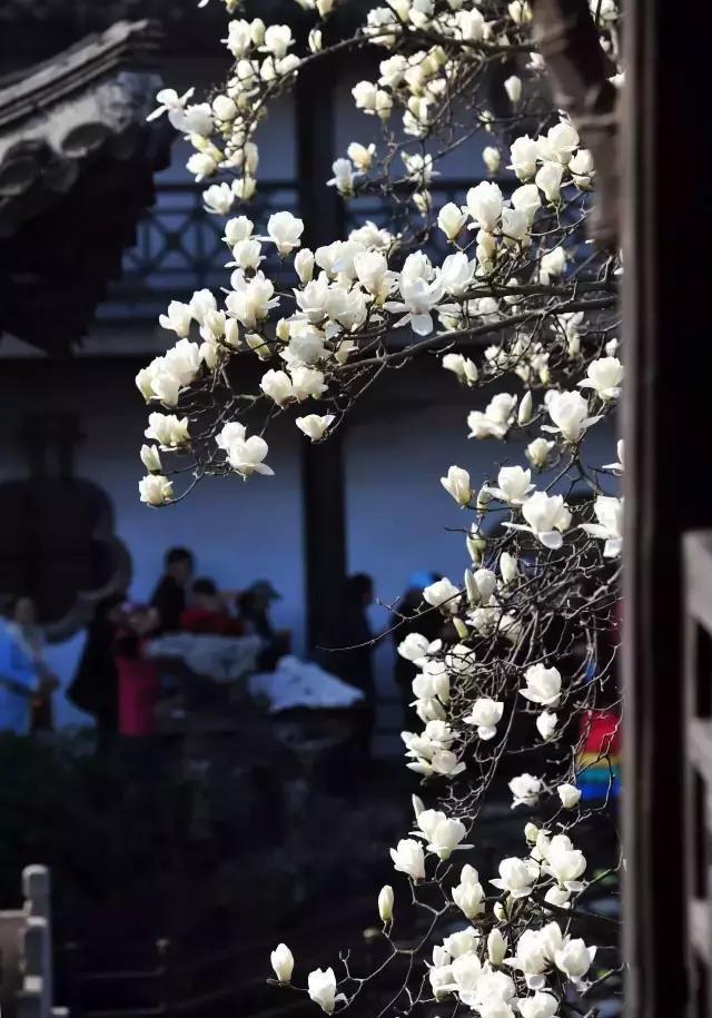 春天怎么拍才有意境？十招让你立刻开窍！