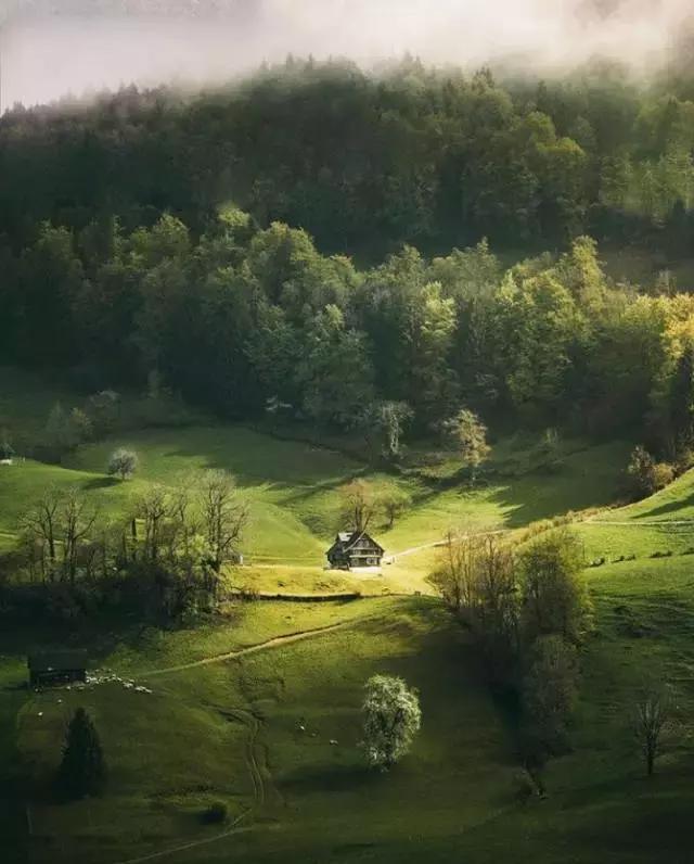 春天怎么拍才有意境？十招让你立刻开窍！