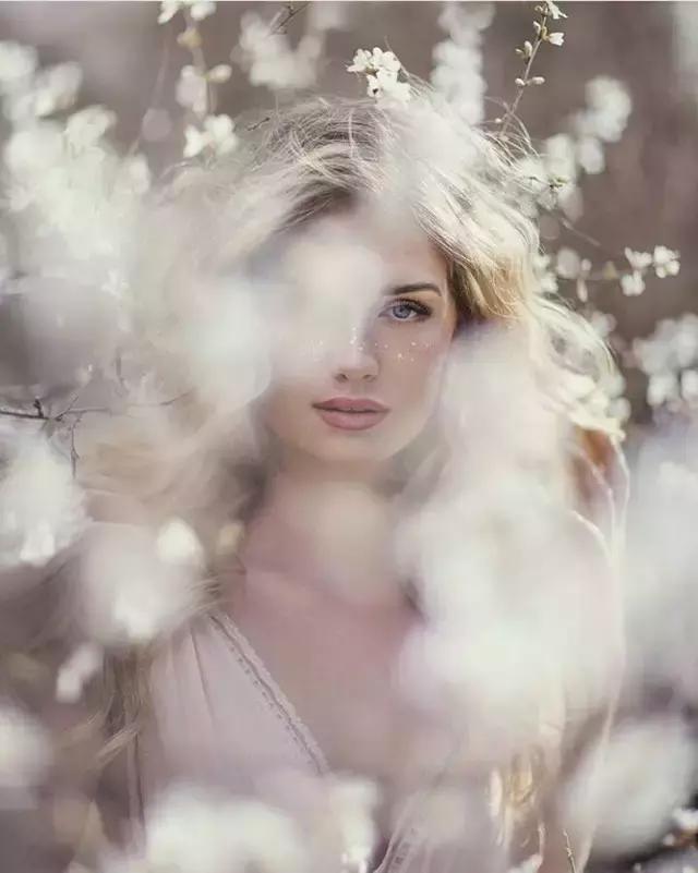 春天怎么拍才有意境？十招让你立刻开窍！