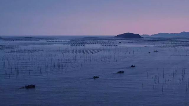 snapseed修图教程 | 简单3步调出忧郁蓝调色彩