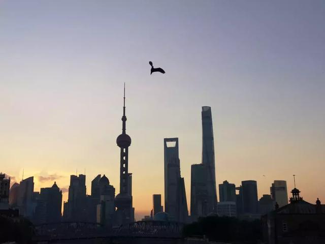 snapseed修图教程 | 简单3步调出忧郁蓝调色彩