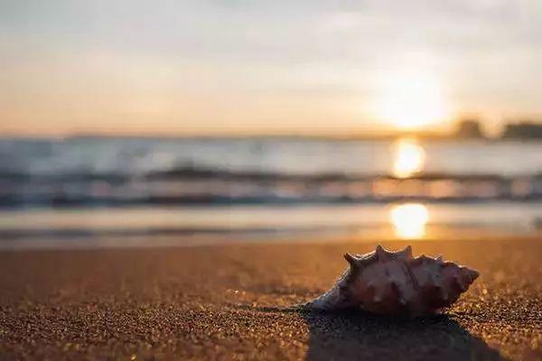 7种手机摄影构图技巧，让你成为手机摄影达人