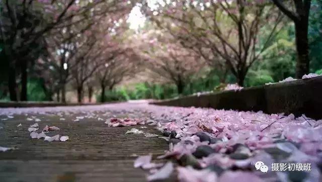 7种手机摄影构图技巧，让你成为手机摄影达人