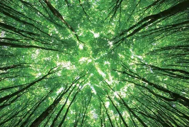 7种手机摄影构图技巧，让你成为手机摄影达人