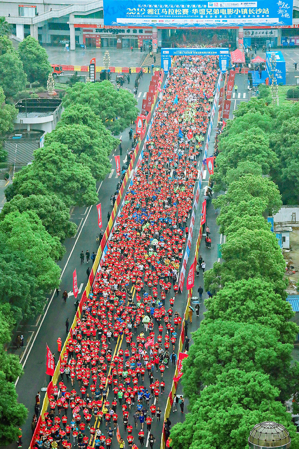 4bdad345153fcc30bba4ffad62d5737