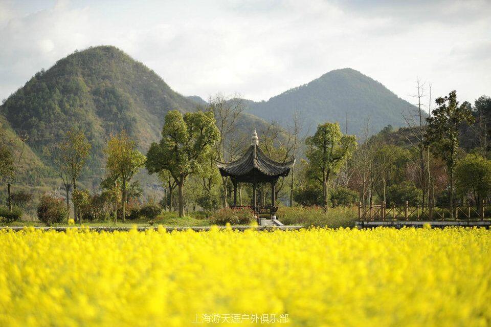 QQ图片20170302013805