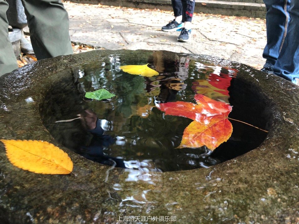 微信图片_20171113004158