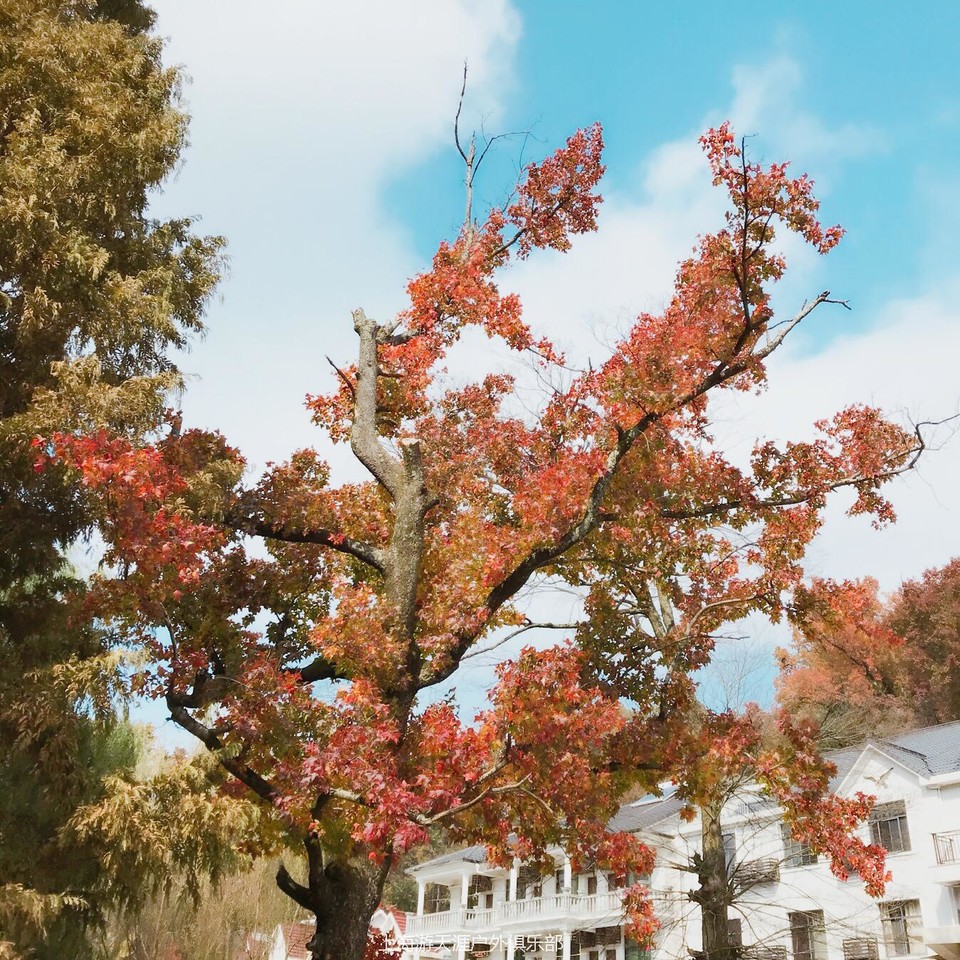 微信图片_20171113004225