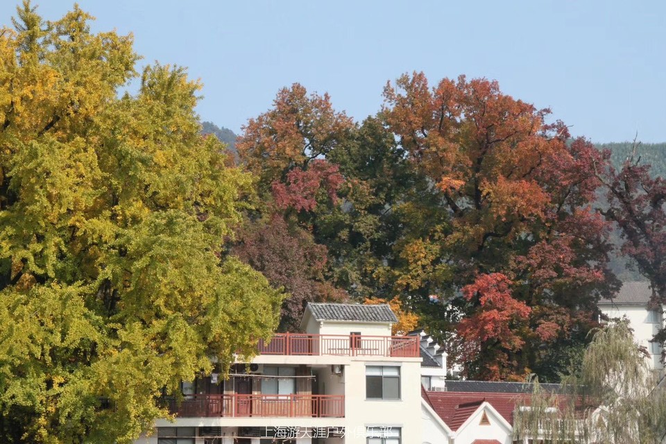 微信图片_20171113004256