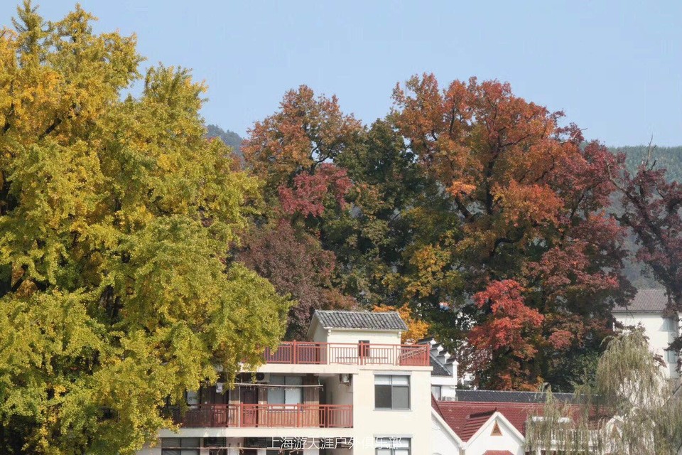 微信图片_20171113134605