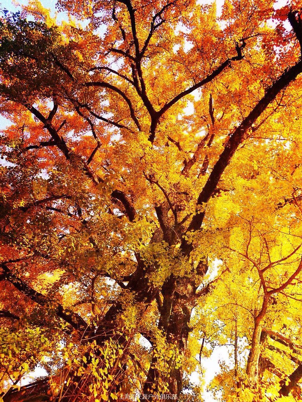 微信图片_20171113134626