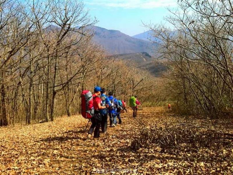 QQ图片20151012233827