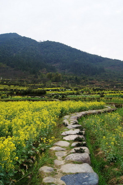 DSC00195_缩小大小