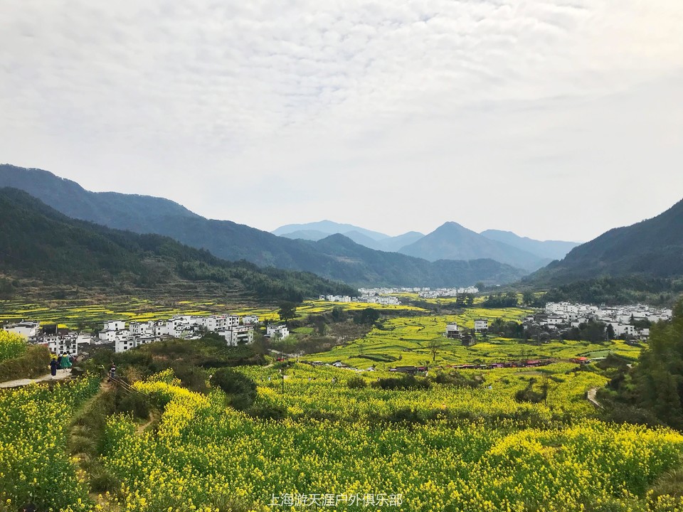 微信图片_20190316181443