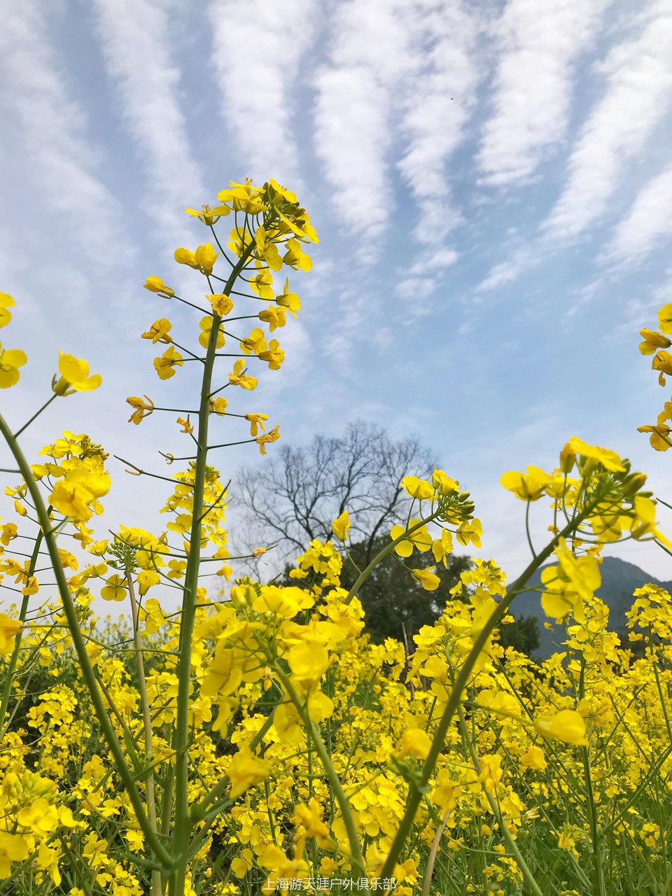 微信图片_20190316181654