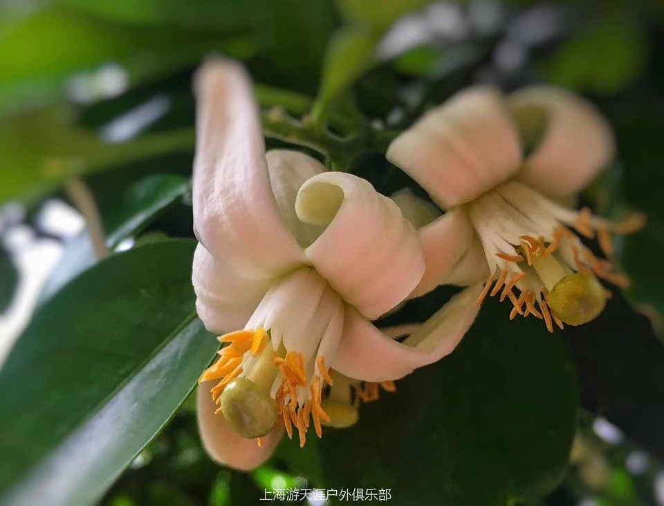 fuCJcHfQaN5SLQUFdJ7YDd6LH0C7RgJQdFPxJPBG8HxB85cvcSikIq0pbdNRctrd