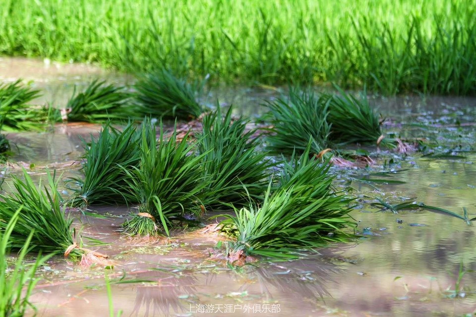 p5kKXnIU8LEgastXtb-aFnn2qwECQcCOs13IB1mVusMWdcJZUStroKj-Efq18ebU