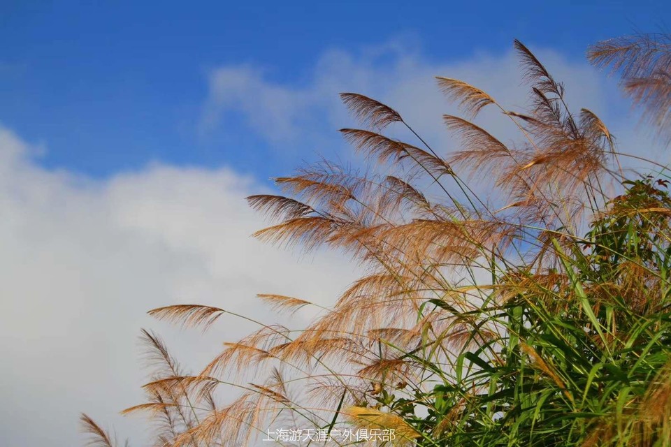 gidRk_52wNbRrPf5m7GOiFd8iYwdsVnz4Jsv3RRcB0Zowxd80-SRWBlPk6zJHWtc