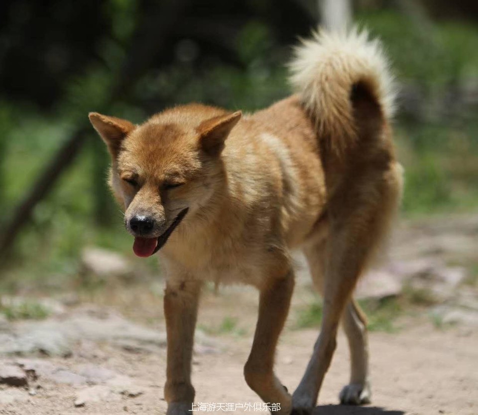 0Ctm7zQTdk1Zl1TS_5jo9S3alrYtyiCZnfhpOO2kPf03pkQhNfMPYWUknKY8WB5G