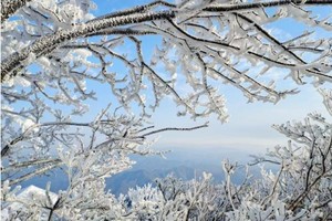 2月8日：踏雪杭州十大名山--鸬鸟山