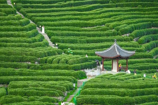 余2空位4月20日：又到一年最美时，徒步杭州九溪十八涧（一日游）