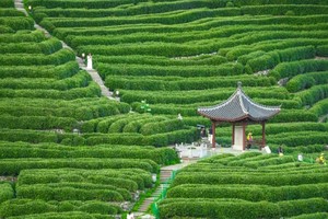 5月24：游九溪十八涧，徒步十里锒铛五云山