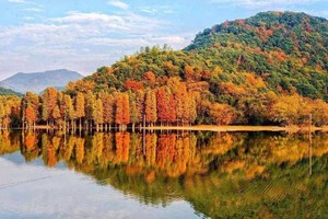 12月21日：徒步梅坞古道，石井水库赏水中红杉，出发晚