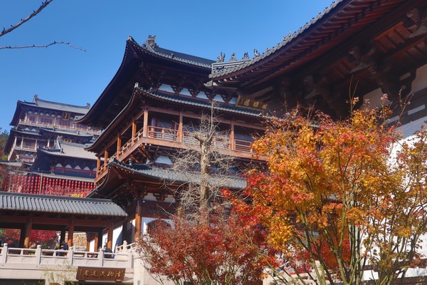 余12位1月1日：徒步径山古道，新年祈福径山寺