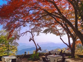 12月21日：红叶起，徒步莫干山蒋公道，剑池、裸心堡