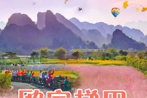 每周六日：打卡网红拍照地峰林小镇浪漫粉黛乱子草、广东最美欧家梯田、万山朝王、银杏林、瑶族篝火、热气球、滑翔伞二日游