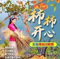 2025恭城柿子节 桂林海洋乡 阳朔风光3天游