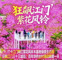 打卡江门网红紫花风铃木基地绿美生态园，狂飙江门三十三墟街、百年华侨古村落启明里一天