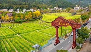 1月18日【广100第六站·穿越北回归线】花都芙蓉嶂～天龙溪～茅輋村～红山村16KM徒步大会